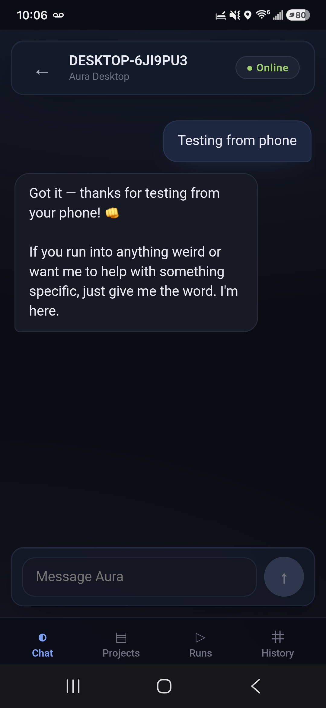 Aura Companion phone home screen.